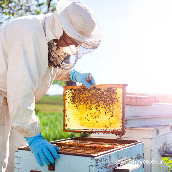 Migratory Beekeeping